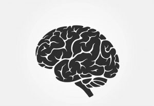 Help Cure Brain Disease KFS site WEB